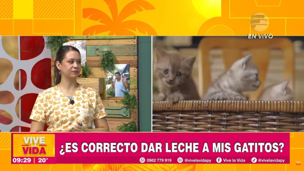 Martes con "M" de Michis
