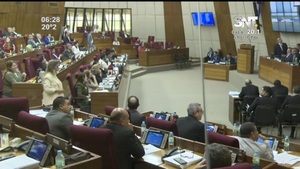 Diputados debaten hoy la derogación de la Ley de Habilitaciones - SNT