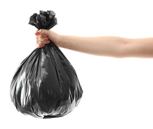 Fósiles de 380 millones de años terminan en la basura y demandan por ello a universidad en EE.UU. - Ciencia - ABC Color