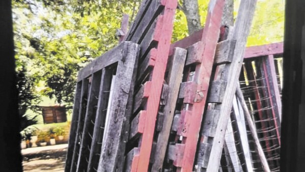 Torero denunciado por ofrecer torín de su amigo a través de WhatsApp