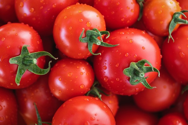 Programa Hambre Cero impulsa el mercado de tomate en Paraguay - El Trueno
