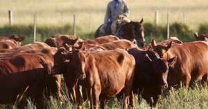 La Nación / Levantan prohibición de importación de animales y productos del mercado alemán