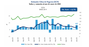 Productos farmacéuticos, materiales de construcción y combustibles con mayores ventas en enero de este año | Locales | 5Días