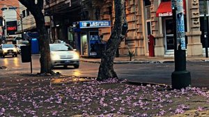 El otoño empezará como “corresponde” - Noticiero Paraguay