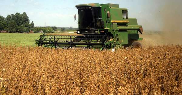 La Nación / Exportaciones paraguayas: otros rubros mitigan fuerte caída de la soja