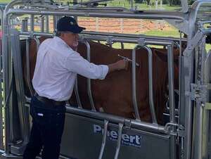 Senacsa levanta prohibición para importar productos de origen animal desde Alemania - Economía - ABC Color