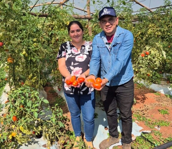 Hambre Cero suma demanda de hasta 60 toneladas de tomate por día, lo que asegura buen precio para productores - ADN Digital