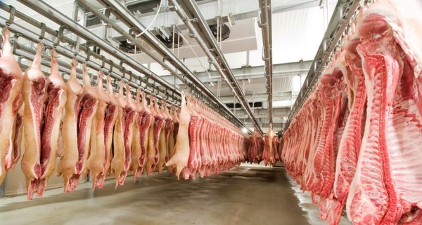 Paraguay exportó 9.124 toneladas, por un valor de USD 28 millones de carne porcina a Taiwán