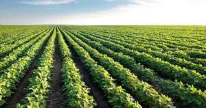 La Nación / Prevén déficit de lluvias en la mayoría de zonas agrícolas