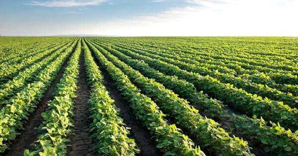 La Nación / Prevén déficit de lluvias en la mayoría de zonas agrícolas