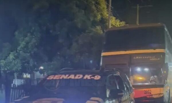 Incautan otro bus que funcionaba como “narco agencia de turismo” con más de 1.660 kilos de marihuana