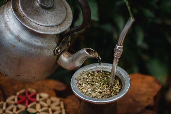 Mate para la previa del otoño: hierbas medicinales recomendadas - Nacionales - ABC Color