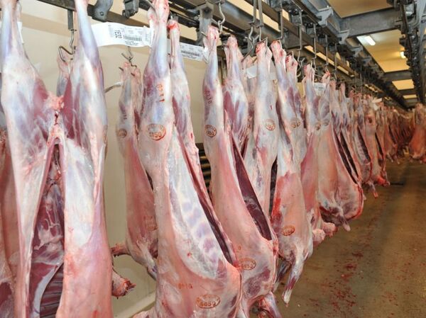 Israel habilitó a Paraguay para la exportación de carne ovina