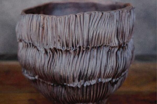 “Mixtura fina”, de Jazmín Brizuela, en Galería BGN