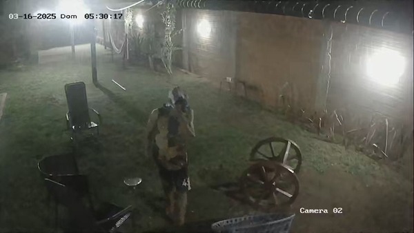 Ladrón reincidente capturado en Luque vuelve a ser liberado por la Justicia - ADN Digital