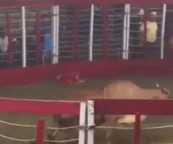 Bomberos piden perdón por “maltrato” de toro en un evento de donde escapó