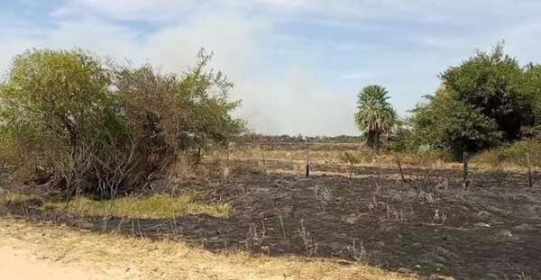 Falta de lluvia, incendios y vías intransitables agudizan la situación agrícola y ganadera en Ñeembucú - Nacionales - ABC Color
