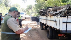 Interceptan transporte de productos forestales de especies nativas en Acahay - .::Agencia IP::.