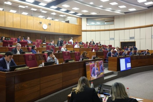 Senado rechaza propuesta para frenar adquisición de muebles escolares - ADN Digital