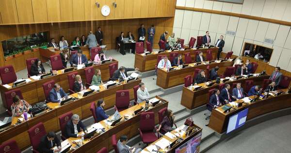 La Nación / Senado posterga por 8 días propuesta de uso de padrón nacional en alianzas electorales