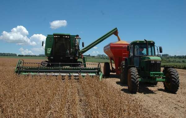 Siguen alertando sobre distribución irregular de lluvias en gran parte de las zonas agrícolas del país - ABC Campo - ABC Color