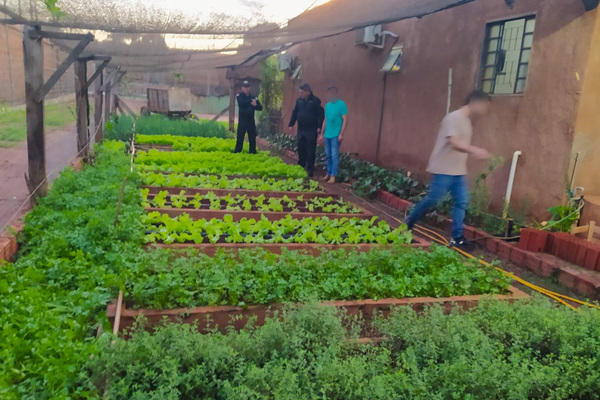 Internos de PJC cultivan hortalizas y fabrican insumos de limpieza como parte de un programa de autosuficiencia y capacitación