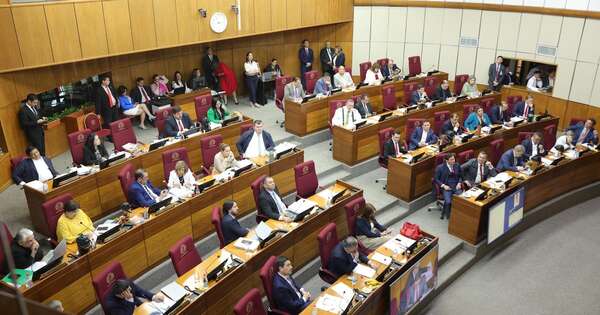 La Nación / Senado rechaza modificaciones del Código Penal y proyecto vuelve a Diputados