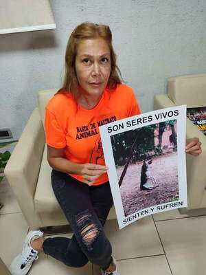 Convocan a marcha en defensa de los animales - Nacionales - ABC Color
