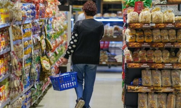 Canasta familiar, cada vez más básica