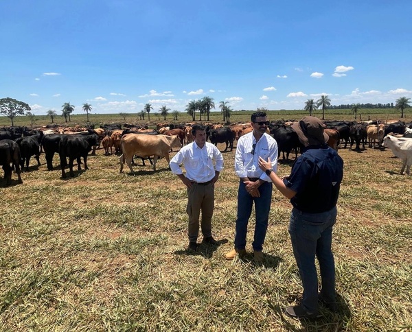 Descartó 700 vientres pero más que duplicó la producción de kilos de terneros