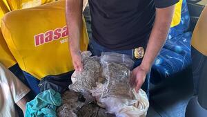 Antidrogas capturan a pasajero de bus que transportaba marihuana vip en Concepción
