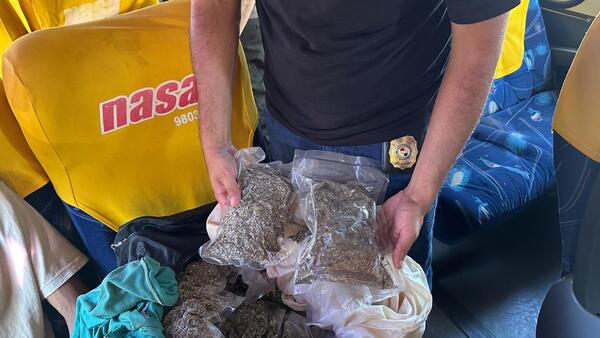 Antidrogas capturan a pasajero de bus que transportaba marihuana vip en Concepción
