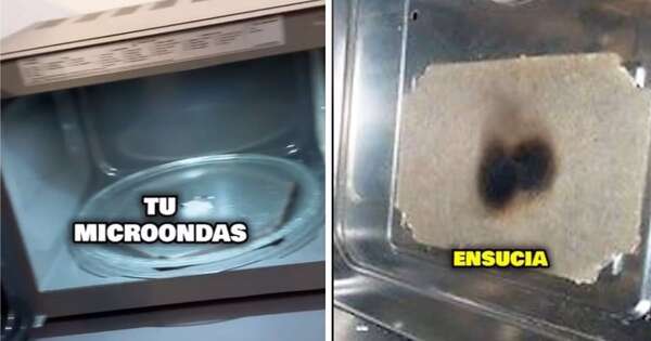 La Nación / La parte poco llamativa del microondas que es esencial limpiar