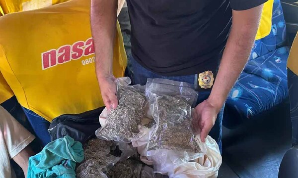 Antidrogas capturan a pasajero de bus que transportaba marihuana vip en Concepción – Prensa 5