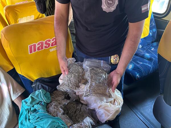 Cae pasajero con marihuana tipo "Skunk" en Concepción - 1000 Noticias