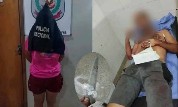 Mujer con antecedentes por violencia apuñala a su hermano – Prensa 5