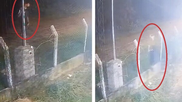Péndex robó el ryguasu kuru de su vecina