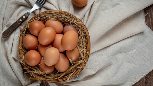 Alquilar una gallina, una moda en auge en EEUU ante los cambios en el precio de los huevos