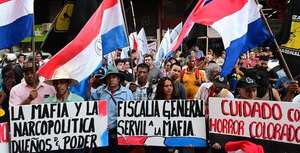 Senador Iramain pide a Peña que no infiltre con barras bravas las  marchas del 25, 26 y 27 de marzo - Política - ABC Color