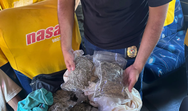 Detienen a pasajero con 40 paquetes de marihuana en un ómnibus en Concepción