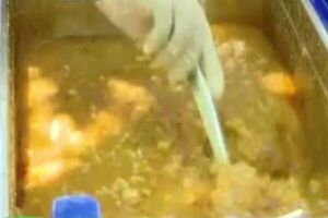 Padres rechazan almuerzo escolar por segunda vez en el Colegio San Jorge - SNT