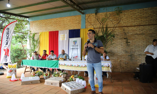 Pollos de doble propósito: la apuesta de la Gobernación para impulsar la economía rural - OviedoPress