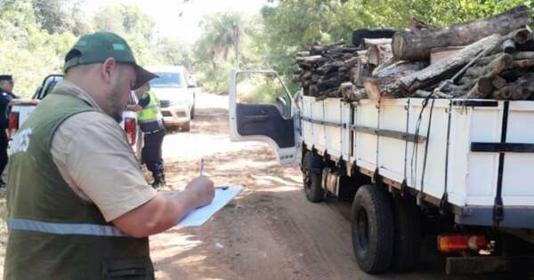 Diario HOY | Interceptan camión con productos forestales nativos en Acahay
