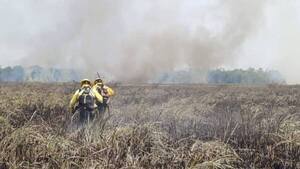 Monumento natural está en peligro por incendio forestal en Yegros