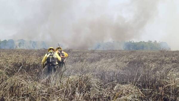 Monumento natural está en peligro por incendio forestal en Yegros