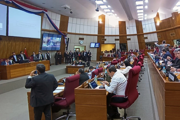 Diputados amplían enfoque de ley contra la violencia a la mujer y extienden protección a toda la familia