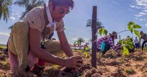 Diario HOY | Paraguay Planta celebra su décima edición este sábado en Yaguarón