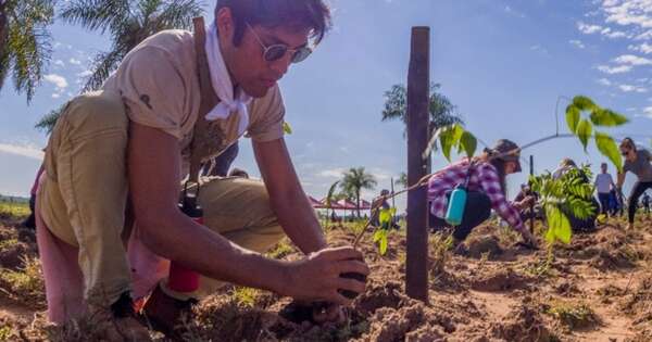 Diario HOY | Paraguay Planta celebra su décima edición este sábado en Yaguarón