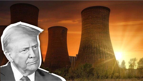Ucrania acordó con Trump darle el control nuclear, Zaporizhzhia y minerales