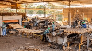 Experta internacional disertará sobre oportunidades de exportación en la industria maderera